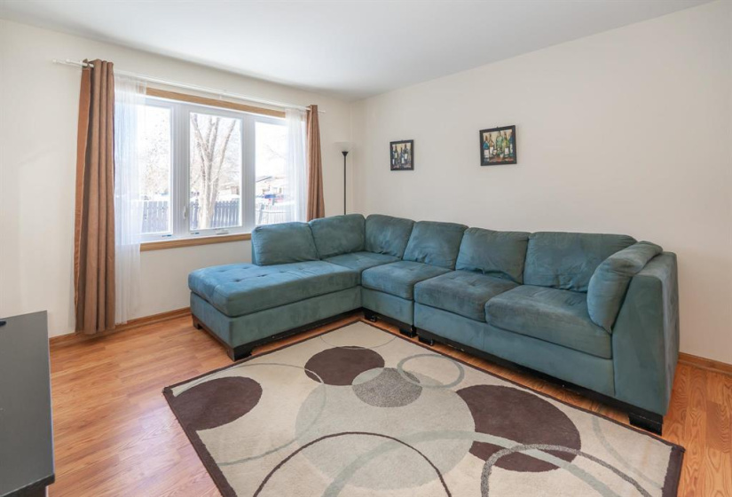 West facing windows let so much light in