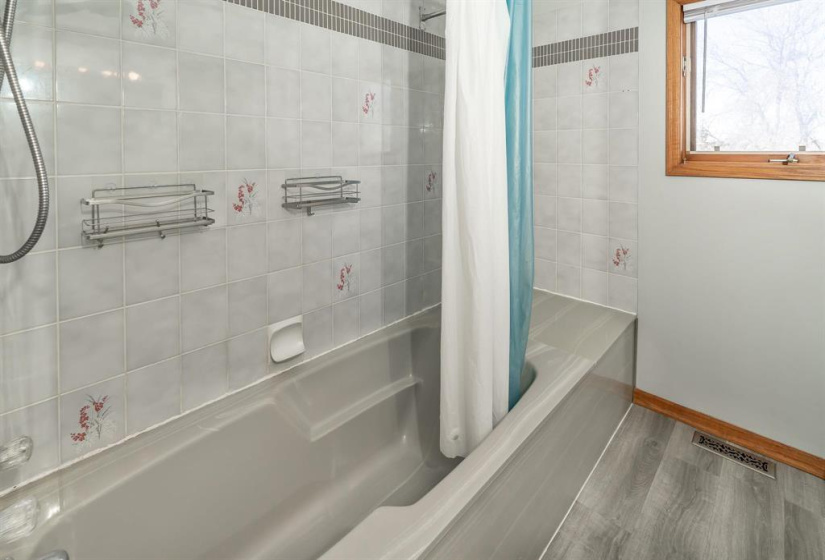 Main bath tub/shower area