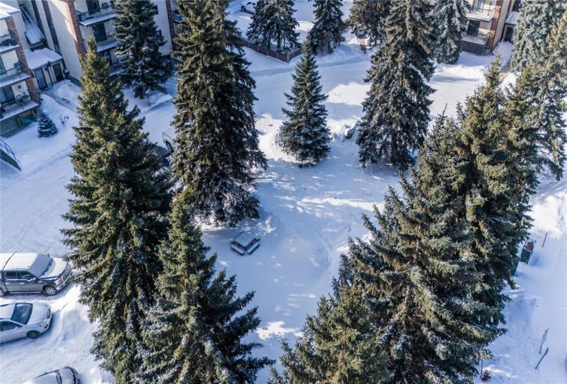 681 St Anne's, 2 Bedrooms Bedrooms, 7 Rooms Rooms,1 BathroomBathrooms,Condominium,For Sale,St Anne's