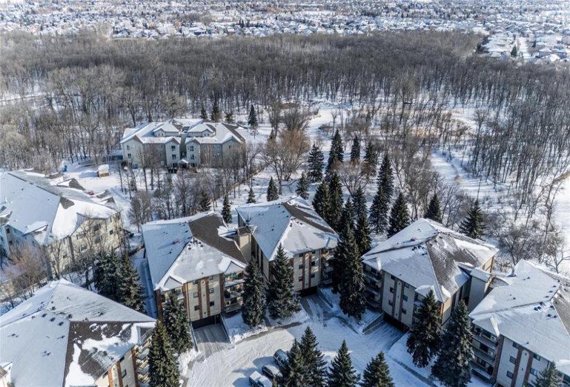 681 St Anne's, 2 Bedrooms Bedrooms, 7 Rooms Rooms,1 BathroomBathrooms,Condominium,For Sale,St Anne's