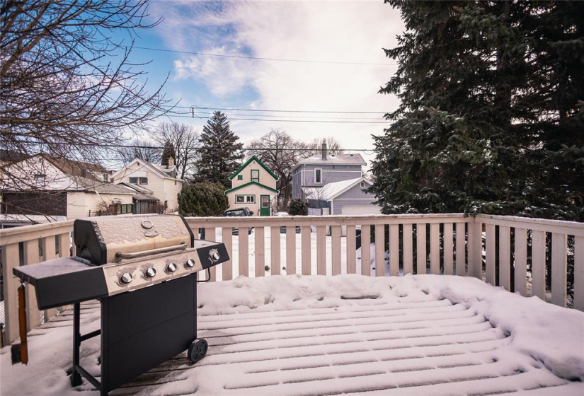 247 Collegiate, 4 Bedrooms Bedrooms, 9 Rooms Rooms,2 BathroomsBathrooms,Residential,For Sale,Collegiate