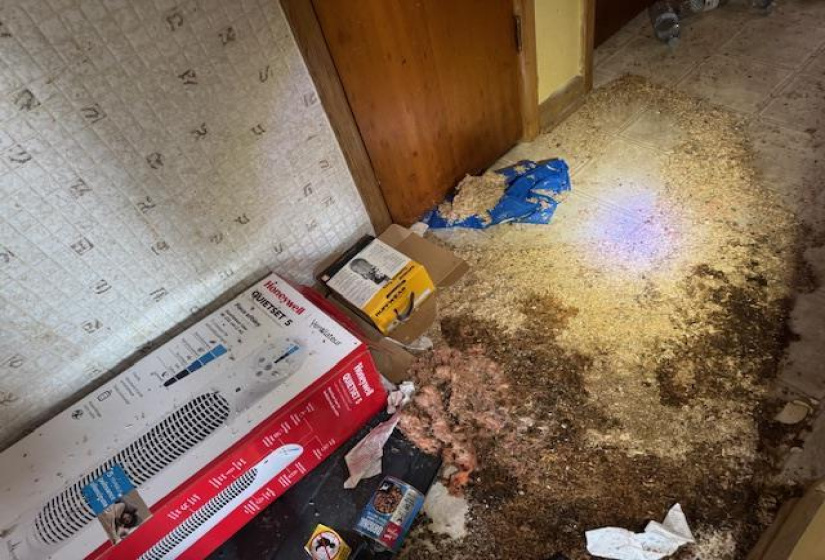 502 Harbison, ,Residential,For Sale,Harbison