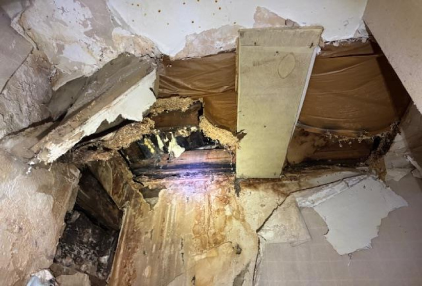 502 Harbison, ,Residential,For Sale,Harbison