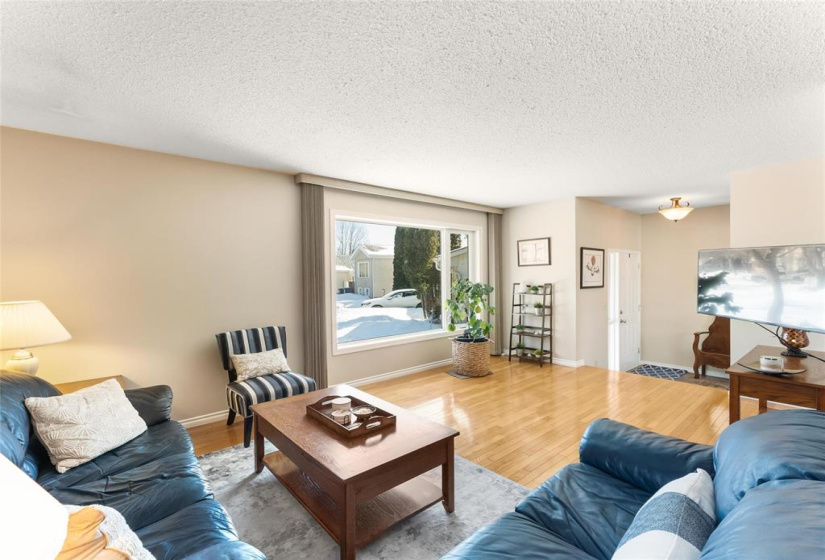 Large window to let in the natural light.  Hardwood floors