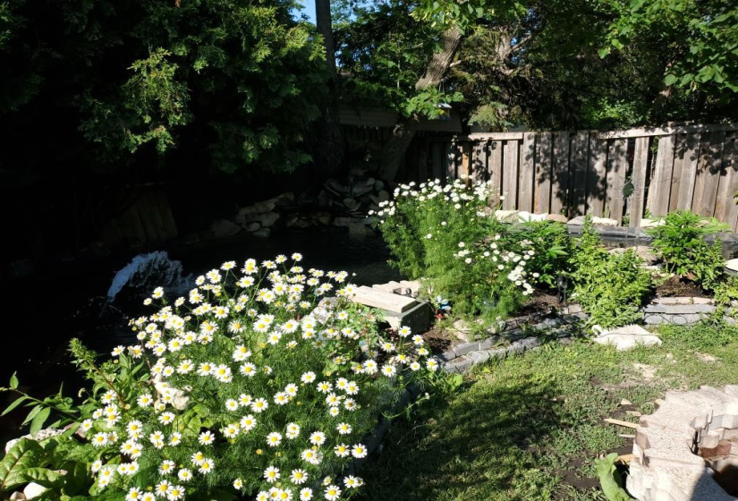 20 Maplehurst, 3 Bedrooms Bedrooms, 11 Rooms Rooms,1 BathroomBathrooms,Residential,For Sale,Maplehurst