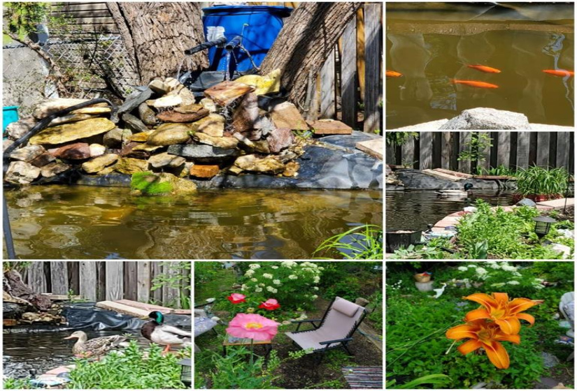 20 Maplehurst, 3 Bedrooms Bedrooms, 11 Rooms Rooms,1 BathroomBathrooms,Residential,For Sale,Maplehurst