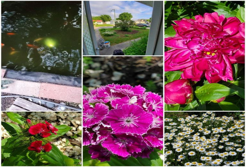 20 Maplehurst, 3 Bedrooms Bedrooms, 11 Rooms Rooms,1 BathroomBathrooms,Residential,For Sale,Maplehurst