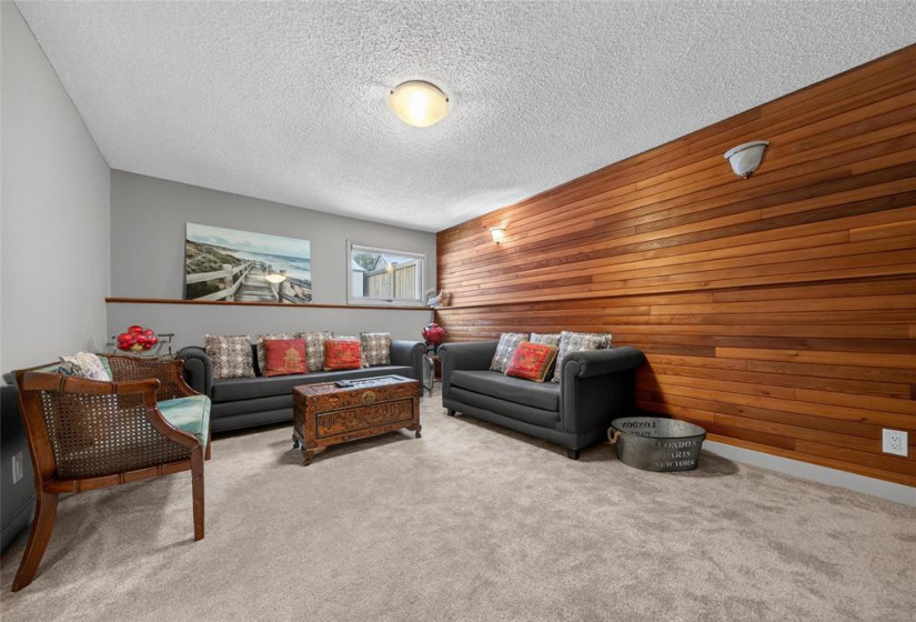 Family Room on Main Lower Level