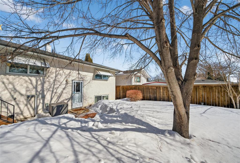 Mature tree offers that summer shade.