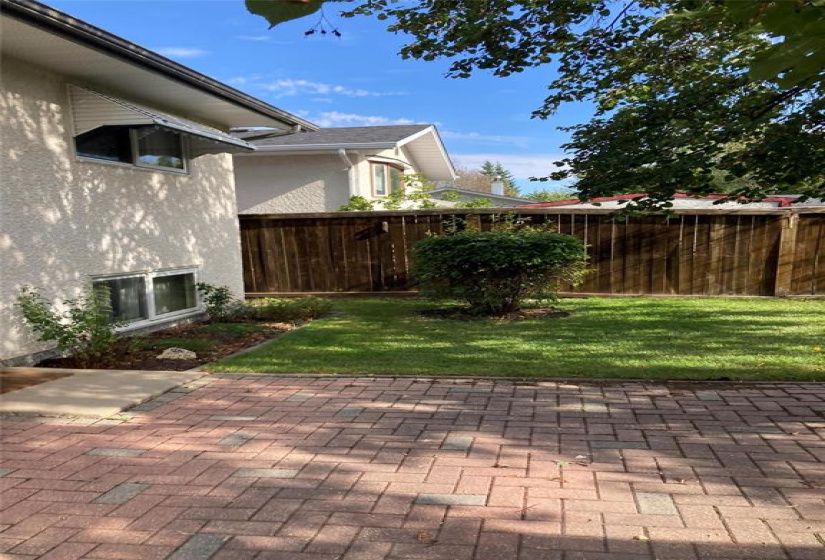 Backyard in the summer.