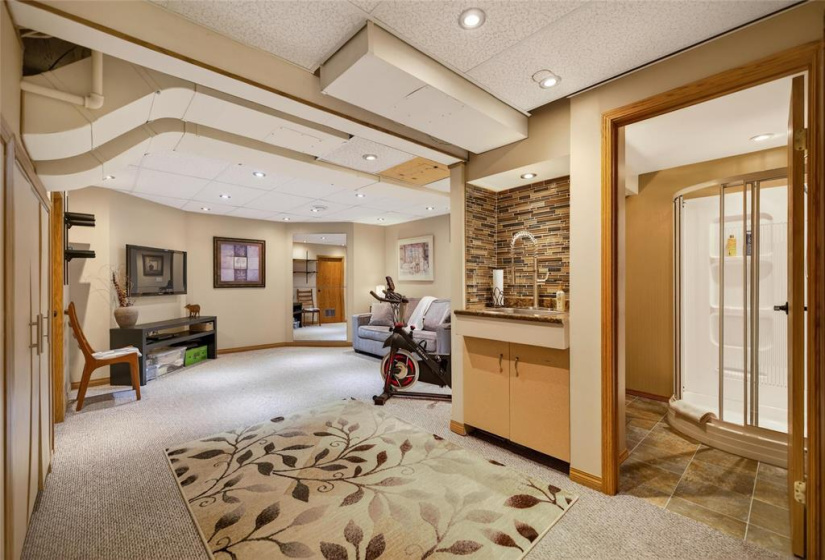 Fully Finished Basement