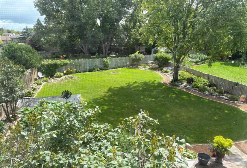 Beautiful Summer Photo