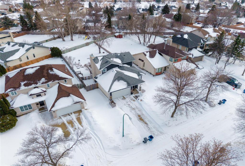 Beautiful Neighbourhood