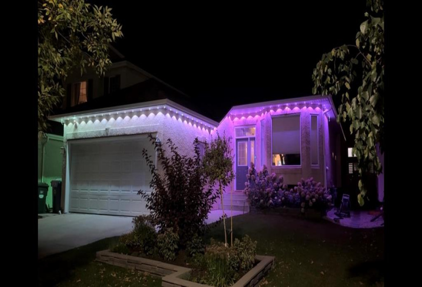 Change the colour based on your mood or season!