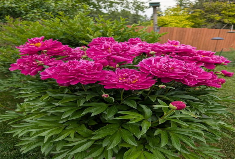 6458 Rannock, 4 Bedrooms Bedrooms, 12 Rooms Rooms,2 BathroomsBathrooms,Residential,For Sale,Rannock