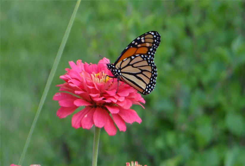 6458 Rannock, 4 Bedrooms Bedrooms, 12 Rooms Rooms,2 BathroomsBathrooms,Residential,For Sale,Rannock