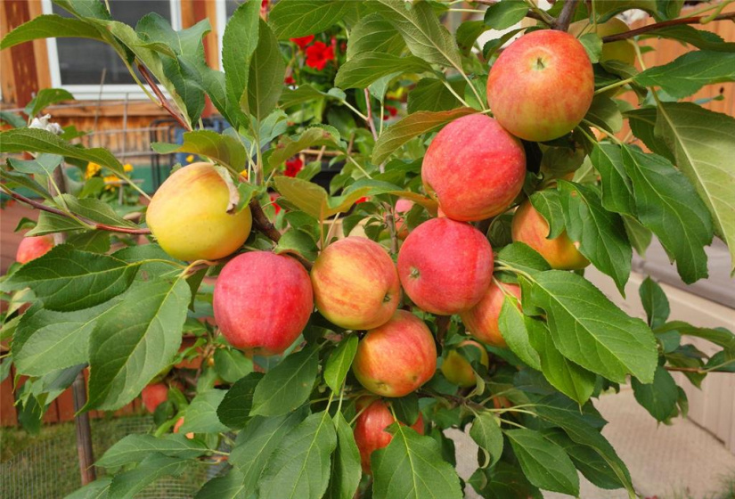 6458 Rannock, 4 Bedrooms Bedrooms, 12 Rooms Rooms,2 BathroomsBathrooms,Residential,For Sale,Rannock