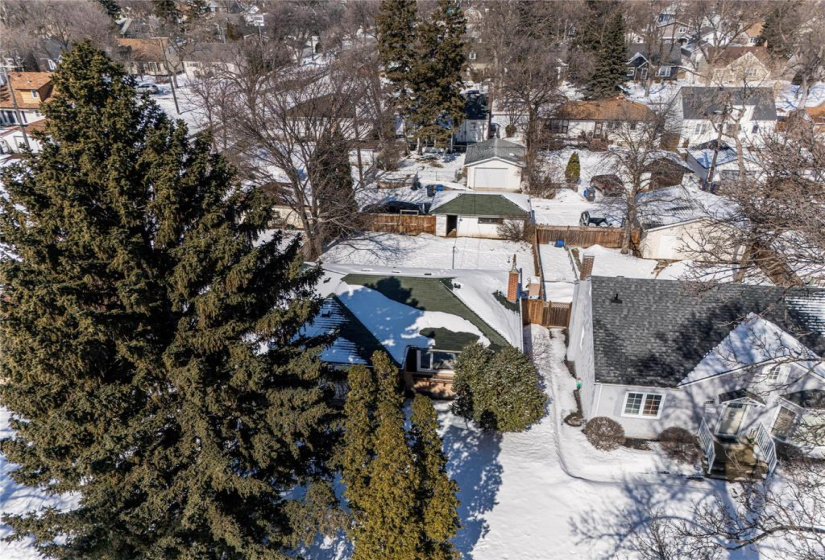 513 Montague, 3 Bedrooms Bedrooms, 11 Rooms Rooms,2 BathroomsBathrooms,Residential,For Sale,Montague