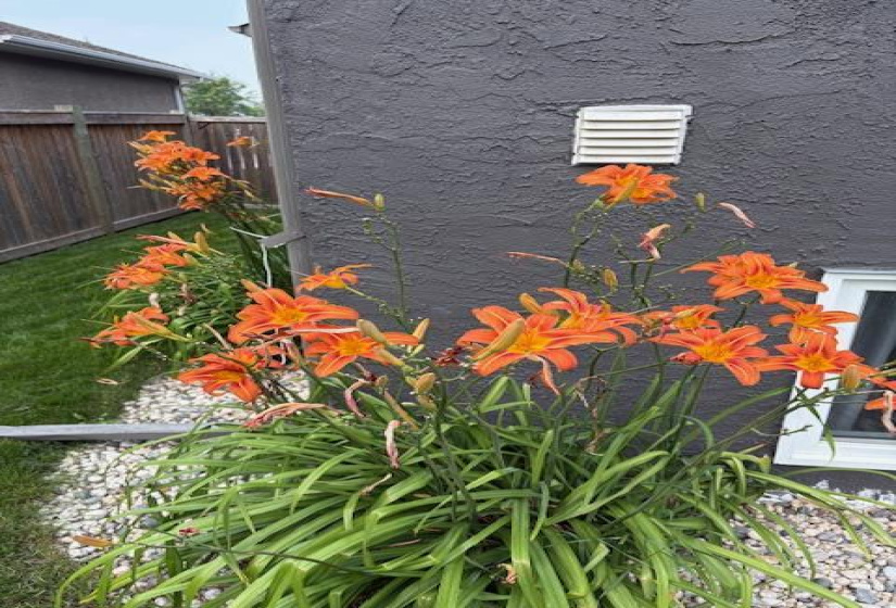 35 Hampton, 5 Bedrooms Bedrooms, 14 Rooms Rooms,3 BathroomsBathrooms,Residential,For Sale,Hampton