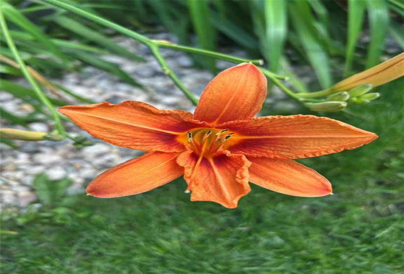 35 Hampton, 5 Bedrooms Bedrooms, 14 Rooms Rooms,3 BathroomsBathrooms,Residential,For Sale,Hampton