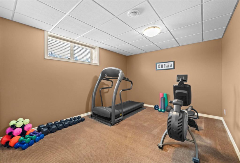 Second lower level bedroom