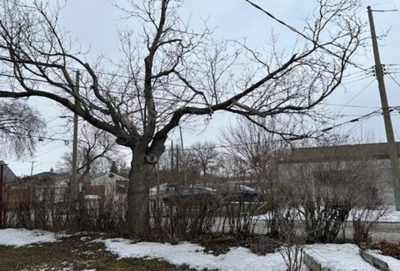 630 Guilbault, 2 Bedrooms Bedrooms, 5 Rooms Rooms,1 BathroomBathrooms,Residential,For Sale,Guilbault