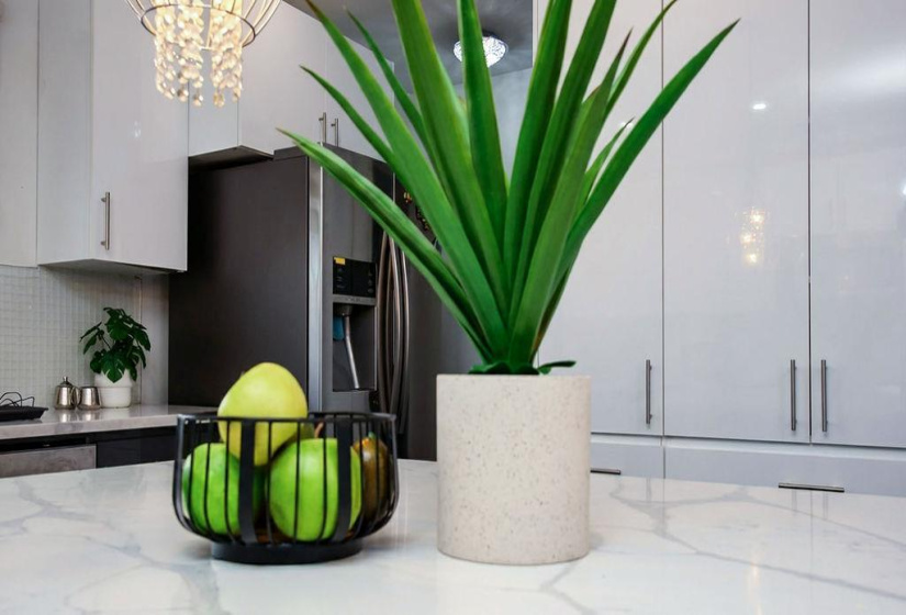 19 Aster, 5 Bedrooms Bedrooms, 16 Rooms Rooms,3 BathroomsBathrooms,Residential,For Sale,Aster