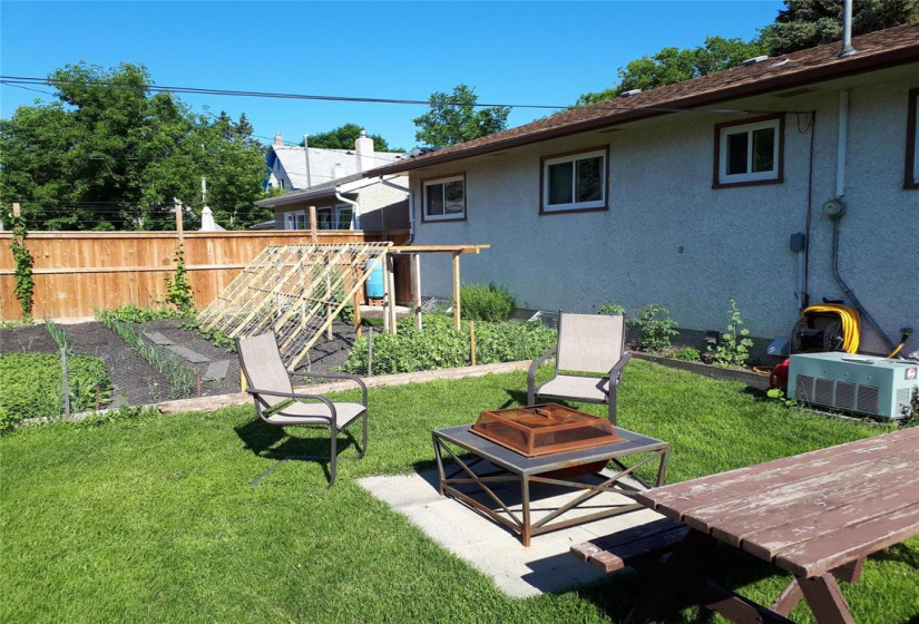 Back yard summer picture