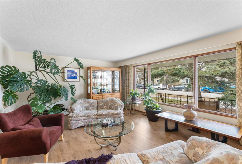 Generous sized living room with large picture windows to let in the natural lights.  Custom drapes from the 70's in great shape.  The monstera plant could stay if one wanted it.  Its also been in the family for decades