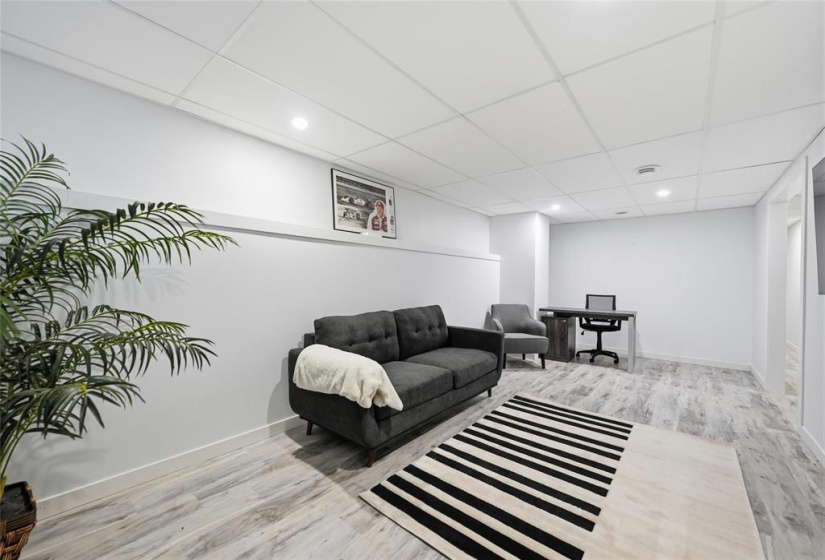 Lower level family room