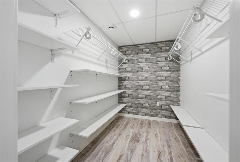 Lower level bedroom walk in closet