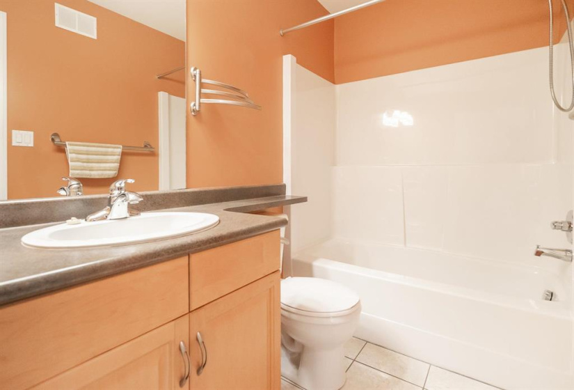 Main full bathroom