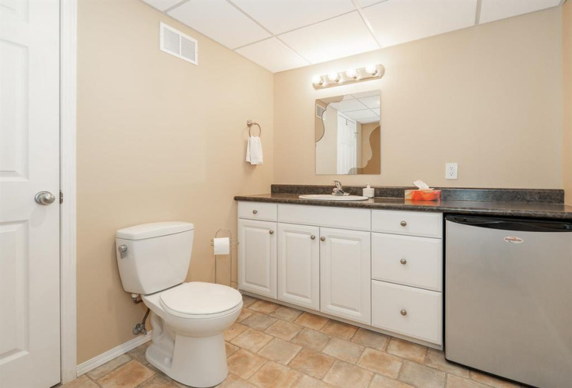 Lower level 2 piece bathroom