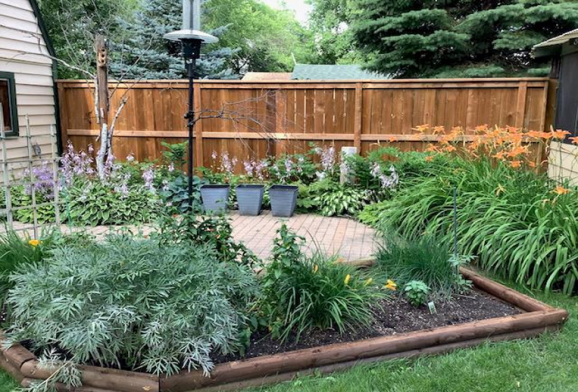 Patio perennials