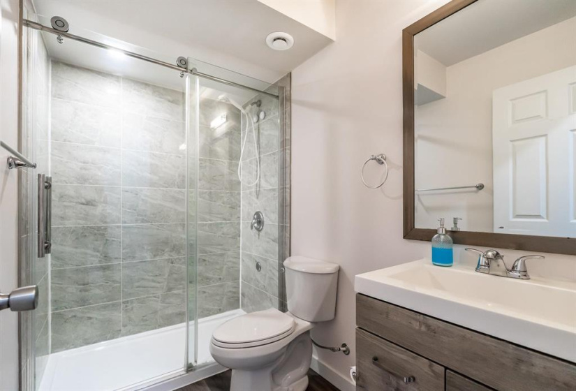 Pretty basement bathroom