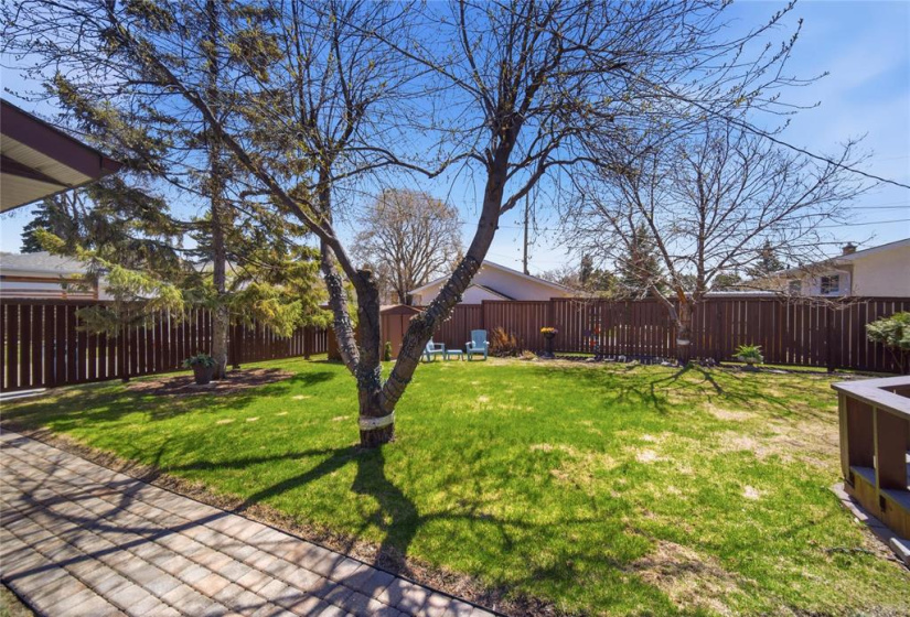 225 Dunkirk, 3 Bedrooms Bedrooms, 10 Rooms Rooms,1 BathroomBathrooms,Residential,For Sale,Dunkirk