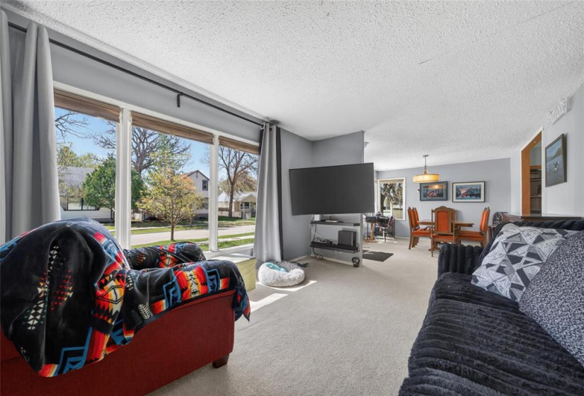 133 Humboldt, 4 Bedrooms Bedrooms, 11 Rooms Rooms,2 BathroomsBathrooms,Residential,For Sale,Humboldt