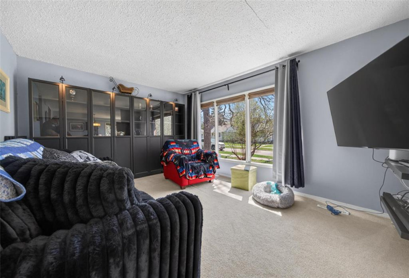 133 Humboldt, 4 Bedrooms Bedrooms, 11 Rooms Rooms,2 BathroomsBathrooms,Residential,For Sale,Humboldt