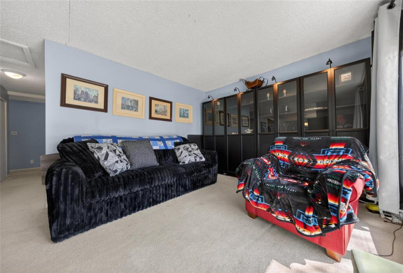 133 Humboldt, 4 Bedrooms Bedrooms, 11 Rooms Rooms,2 BathroomsBathrooms,Residential,For Sale,Humboldt