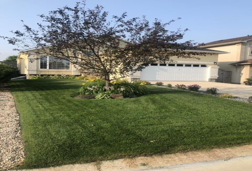 56 Thurston, 4 Bedrooms Bedrooms, 16 Rooms Rooms,3 BathroomsBathrooms,Residential,For Sale,Thurston