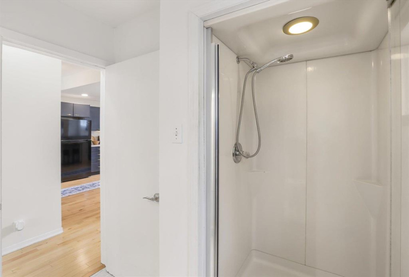 Main floor shower with light
