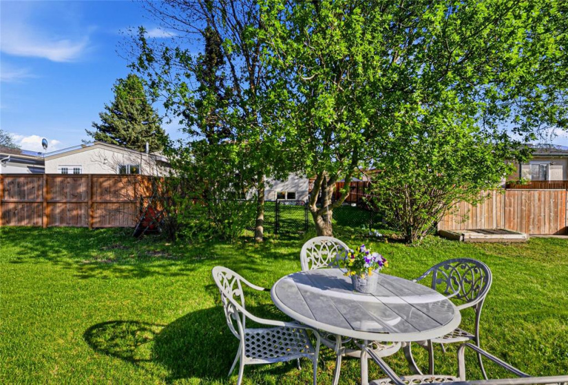 242 Tufnell, 3 Bedrooms Bedrooms, 11 Rooms Rooms,2 BathroomsBathrooms,Residential,For Sale,Tufnell