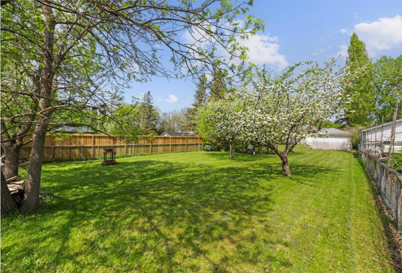 214 Hindley, 4 Bedrooms Bedrooms, 12 Rooms Rooms,2 BathroomsBathrooms,Residential,For Sale,Hindley