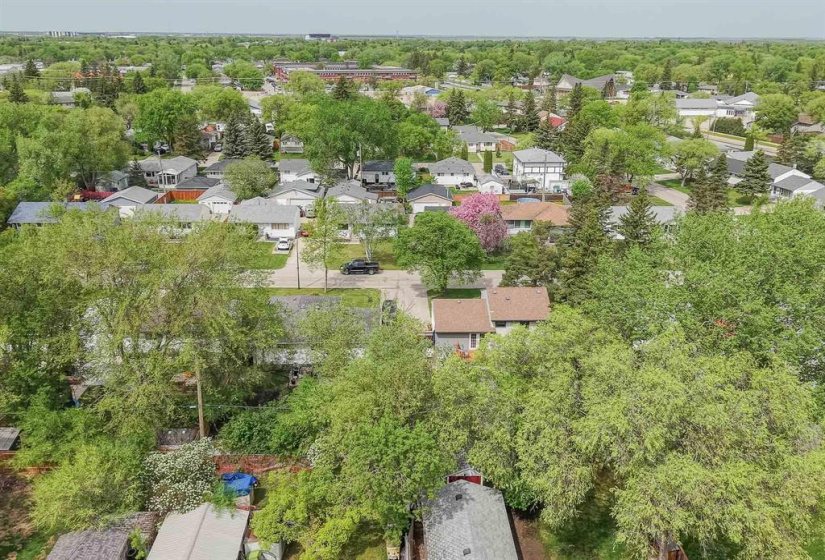 372 Hillary, 3 Bedrooms Bedrooms, 12 Rooms Rooms,2 BathroomsBathrooms,Residential,For Sale,Hillary
