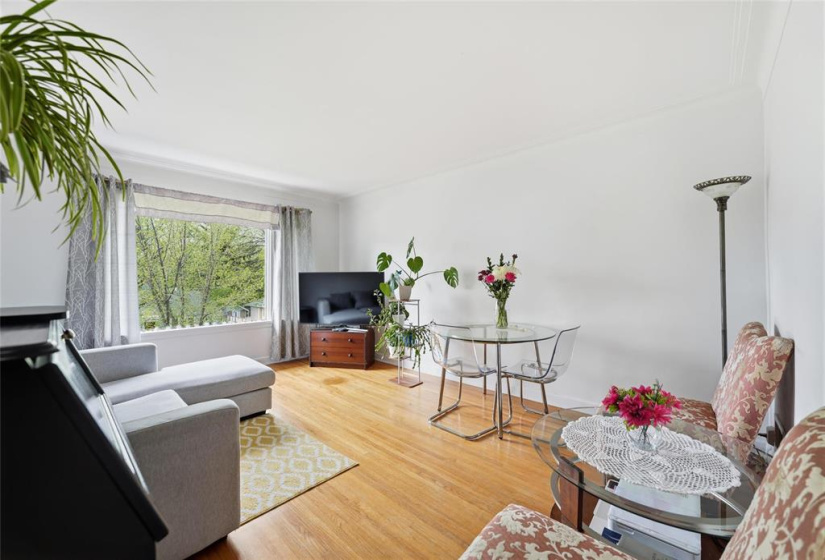 Super spacious Living rooms
