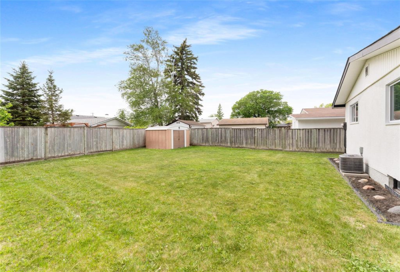 Back yard