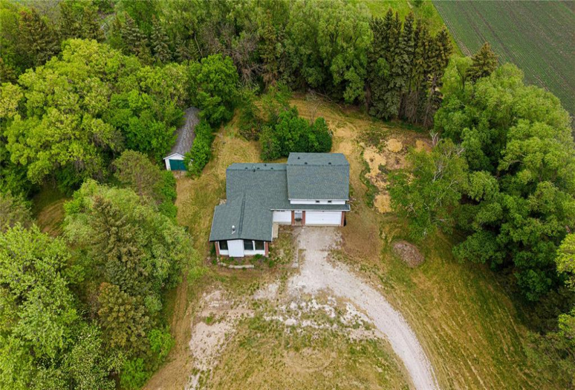 Tall trees envelope this spacious home on 5 Acres.