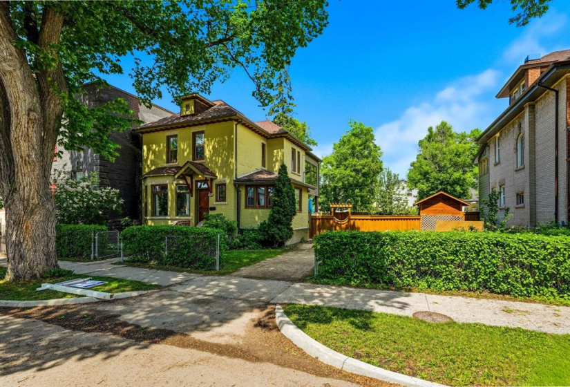 Double lot with mature trees and shrubs