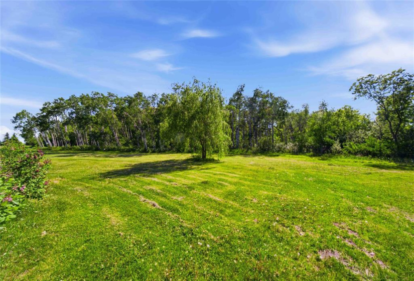 10098 74NW, 4 Bedrooms Bedrooms, 11 Rooms Rooms,2 BathroomsBathrooms,Residential,For Sale,74NW