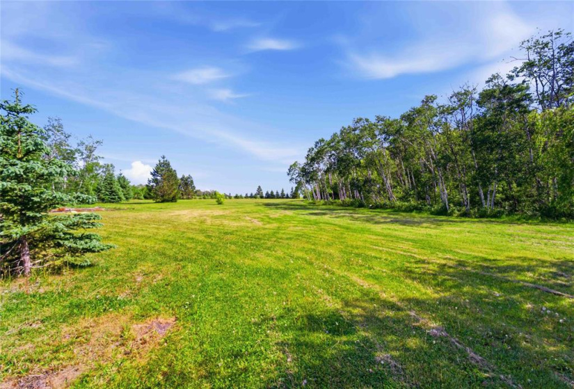 10098 74NW, 4 Bedrooms Bedrooms, 11 Rooms Rooms,2 BathroomsBathrooms,Residential,For Sale,74NW